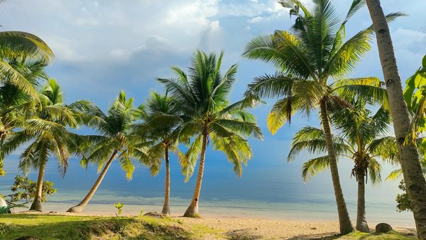 Planet'aire : votre destination de loisirs indoor à ne pas manquer