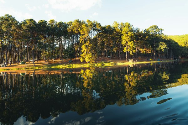 Les 10 meilleurs sites pour la location de maisons de vacances