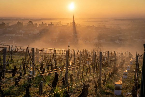 Le tourisme en famille dans les vignobles de Bordeaux